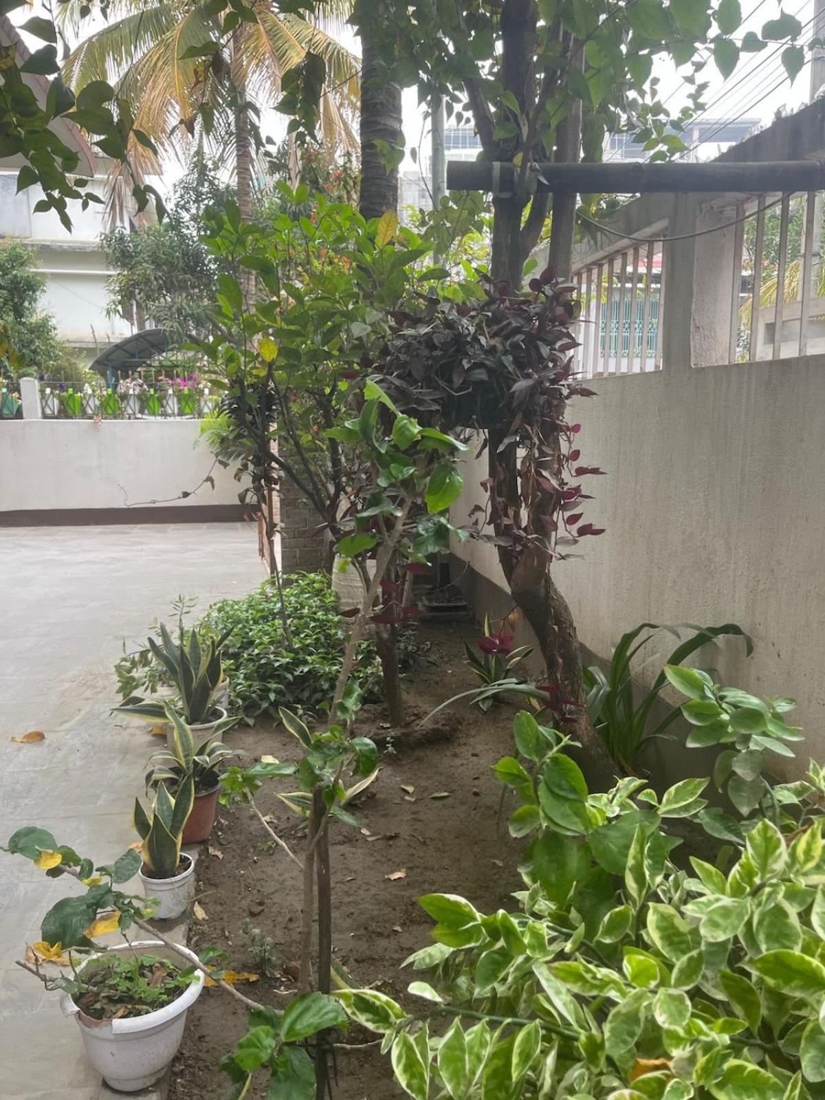 גווהטי Amazing Homestay מראה חיצוני תמונה