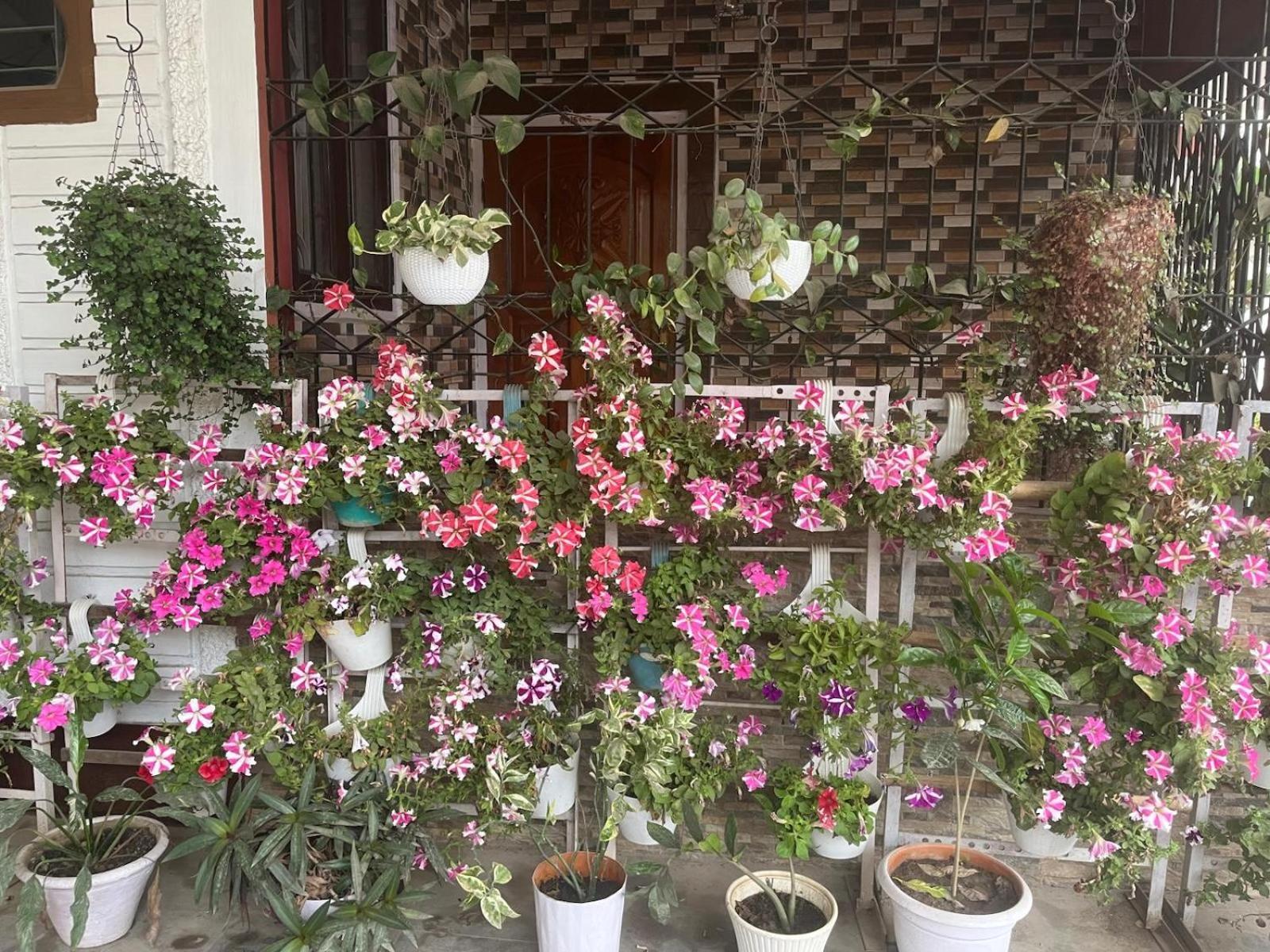 גווהטי Amazing Homestay מראה חיצוני תמונה