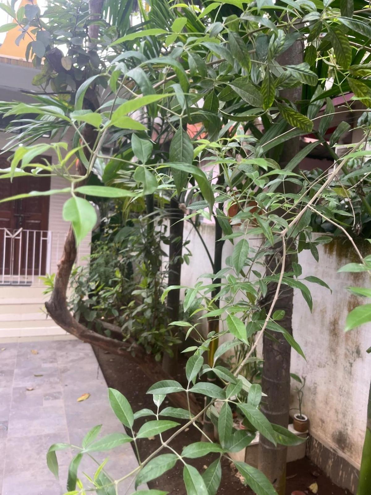 גווהטי Amazing Homestay מראה חיצוני תמונה