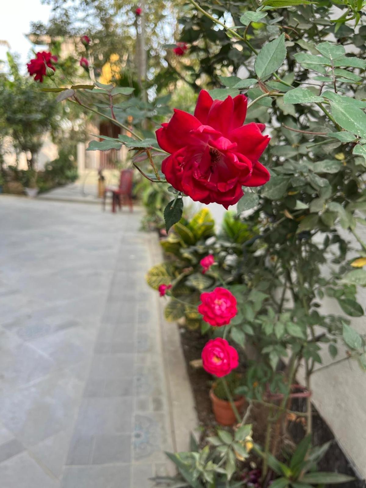 גווהטי Amazing Homestay מראה חיצוני תמונה